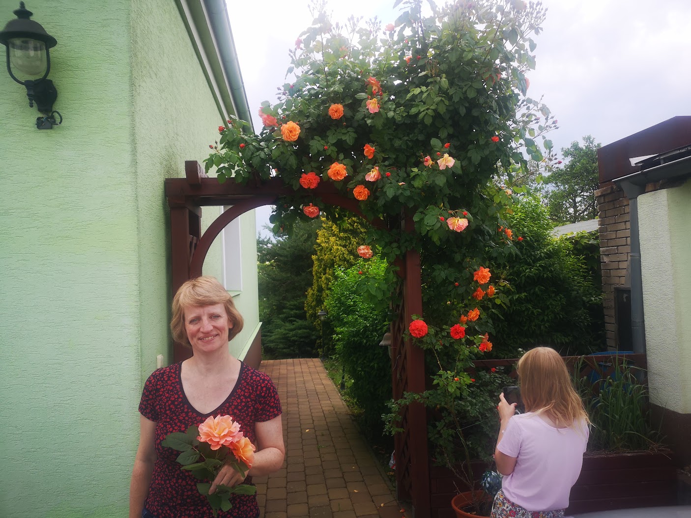 Climbing Rose