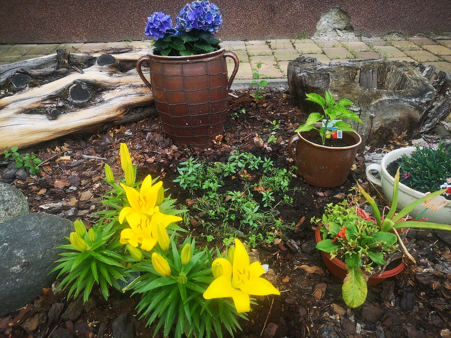 Gardening Front