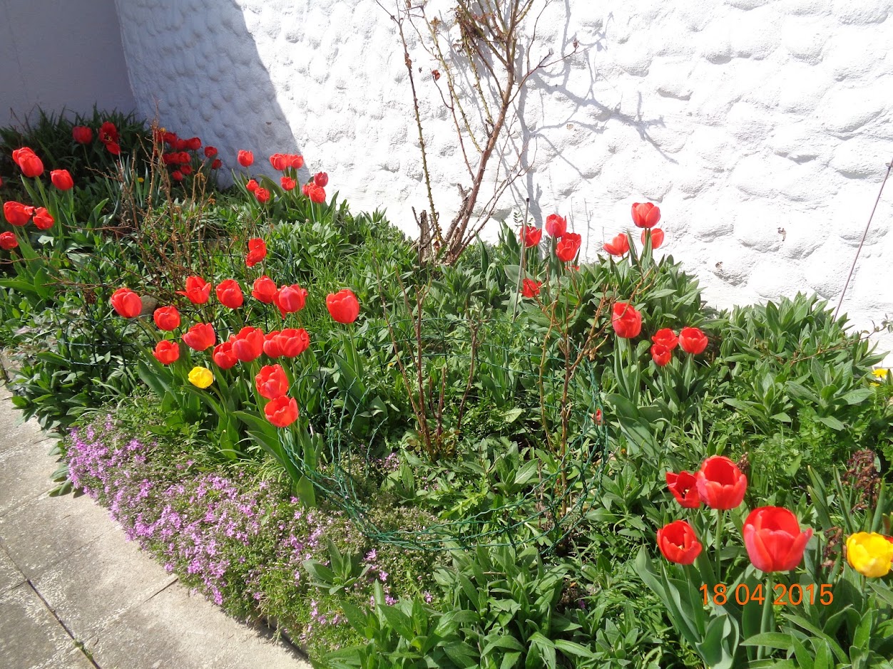 Gardening Garage