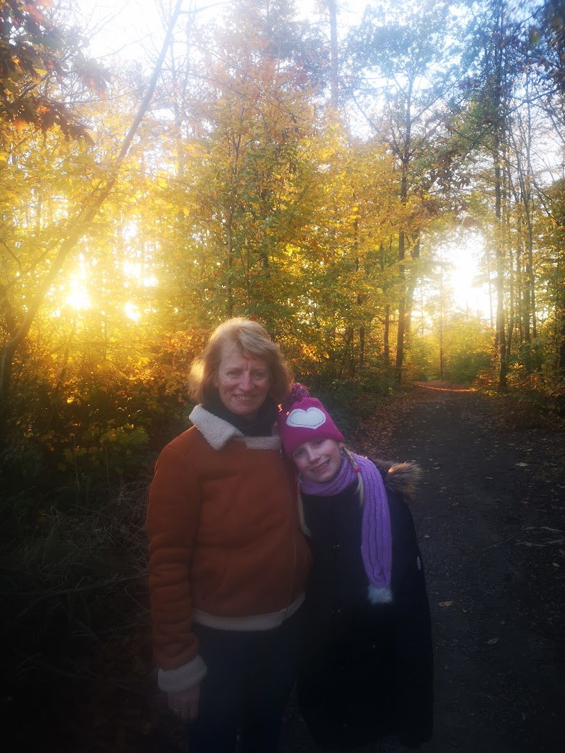 Forest Late Fall