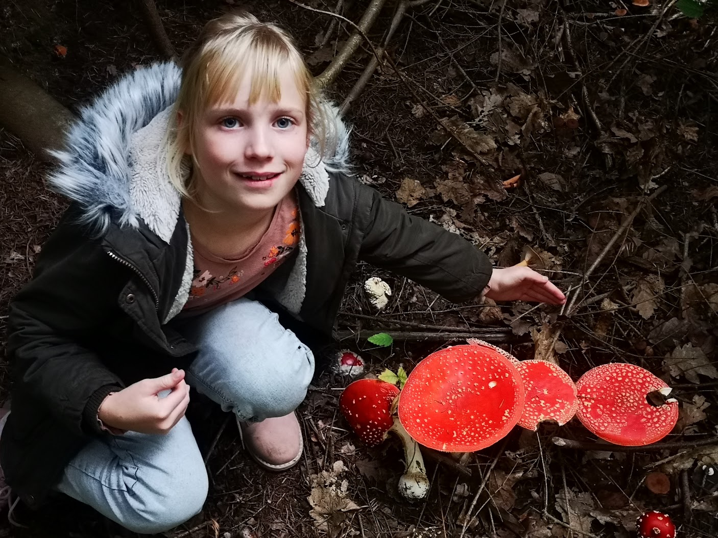 Toadstools